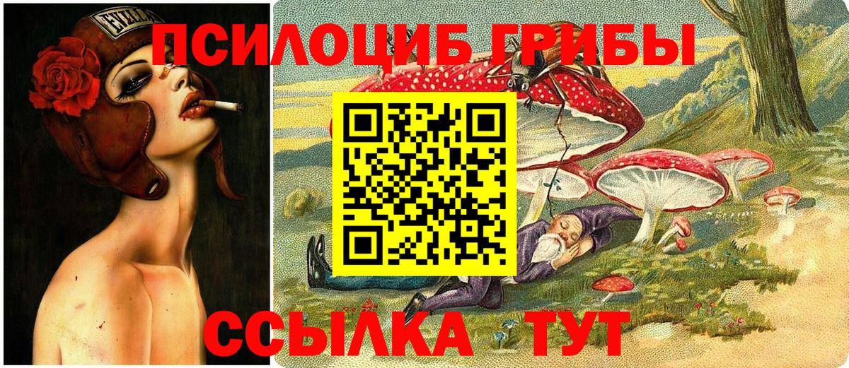 Камень-на-Оби  где купить наркотик  Вход с VPN  Псилоцибиновые грибы MAGIC MUSHROOMS 